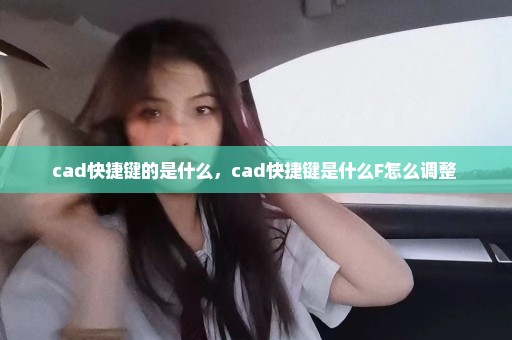 cad快捷键的是什么，cad快捷键是什么F怎么调整 