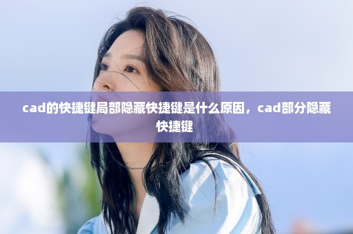 cad的快捷键局部隐藏快捷键是什么原因，cad部分隐藏快捷键 