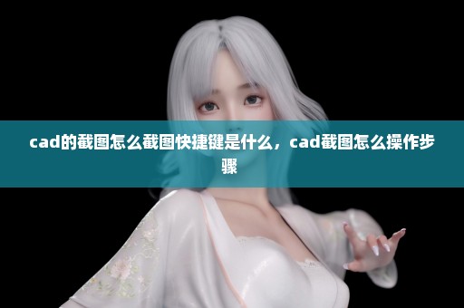 cad的截图怎么截图快捷键是什么，cad截图怎么操作步骤 