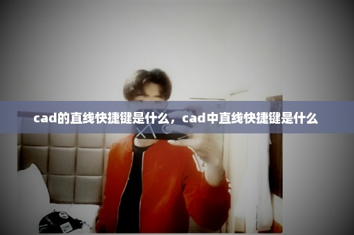 cad的直线快捷键是什么，cad中直线快捷键是什么 
