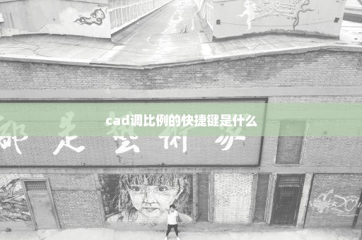 cad调比例的快捷键是什么