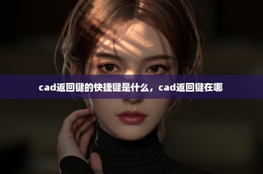 cad返回键的快捷键是什么，cad返回键在哪 