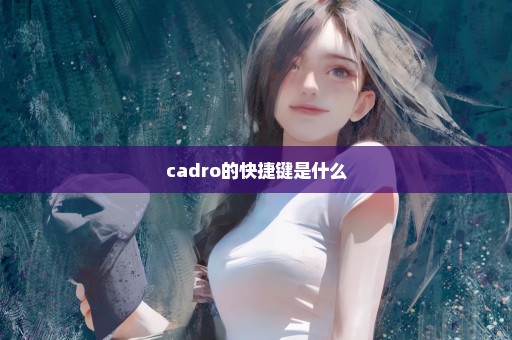 cadro的快捷键是什么