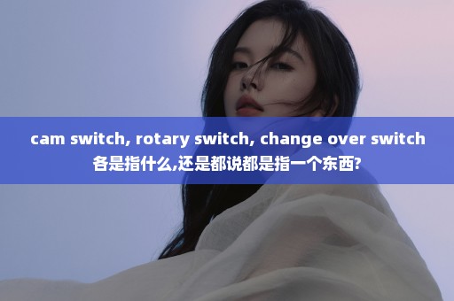 cam switch, rotary switch, change over switch各是指什么,还是都说都是指一个东西?