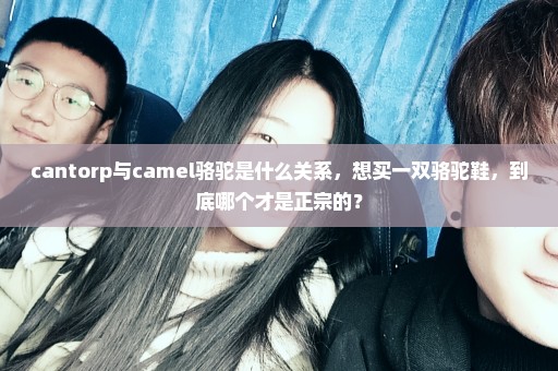 cantorp与camel骆驼是什么关系，想买一双骆驼鞋，到底哪个才是正宗的？
