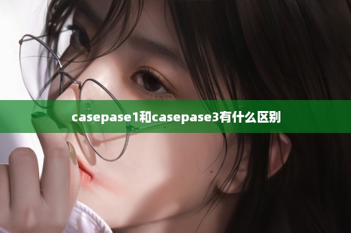 casepase1和casepase3有什么区别