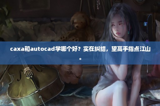 caxa和autocad学哪个好？实在纠结，望高手指点江山。