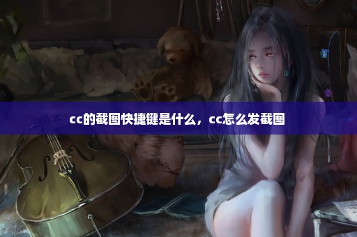 cc的截图快捷键是什么，cc怎么发截图 