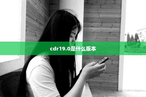cdr19.0是什么版本