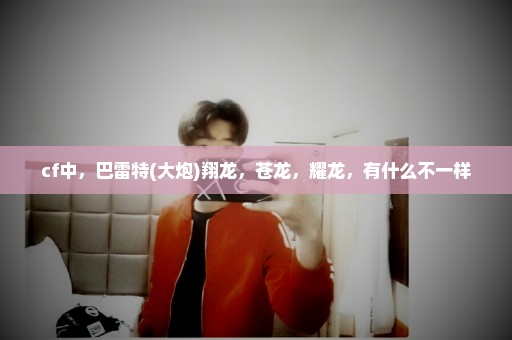 cf中，巴雷特(大炮)翔龙，苍龙，耀龙，有什么不一样