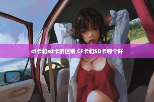 cf卡和sd卡的区别 CF卡和SD卡哪个好