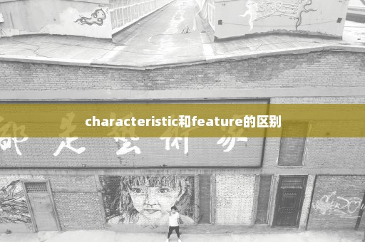 characteristic和feature的区别