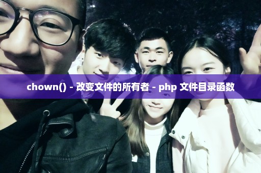chown() - 改变文件的所有者 - php 文件目录函数