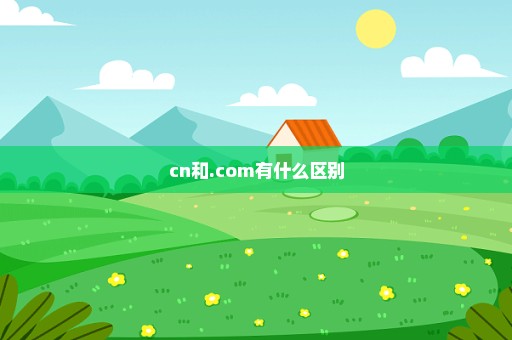 cn和.com有什么区别
