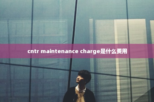 cntr maintenance charge是什么费用