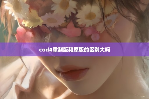 cod4重制版和原版的区别大吗