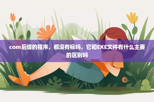 com后缀的程序，都没有标吗，它和EXE文件有什么主要的区别吗
