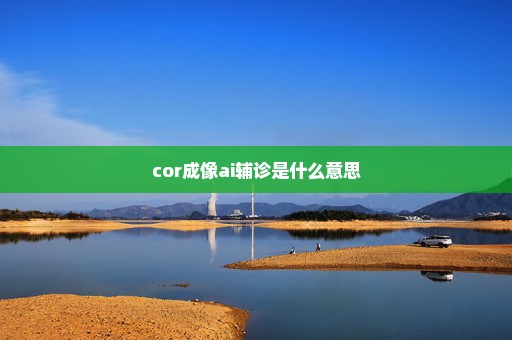 cor成像ai辅诊是什么意思