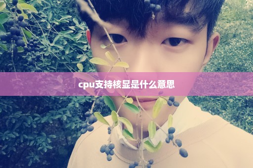 cpu支持核显是什么意思