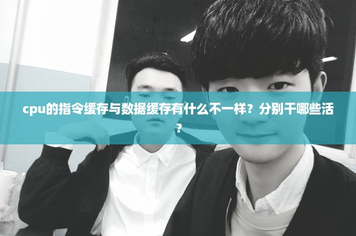 cpu的指令缓存与数据缓存有什么不一样？分别干哪些活？