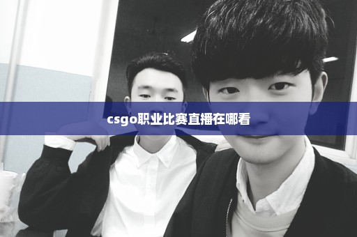 csgo职业比赛直播在哪看