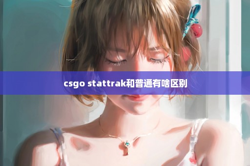 csgo stattrak和普通有啥区别