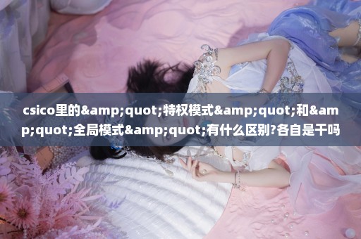 csico里的"特权模式"和"全局模式"有什么区别?各自是干吗用的?