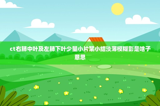 ct右肺中叶及左肺下叶少量小片絮小结淡薄模糊影是啥子意思