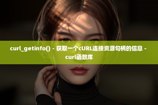 curl_getinfo() - 获取一个cURL连接资源句柄的信息 - curl函数库