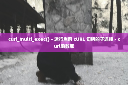curl_multi_exec() - 运行当前 cURL 句柄的子连接 - curl函数库