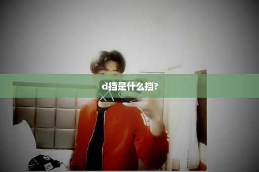 d挡是什么挡?