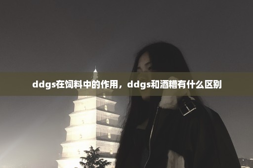 ddgs在饲料中的作用，ddgs和酒糟有什么区别