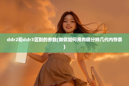 ddr2和ddr3区别的参数(教你如何用肉眼分辨几代内存条)