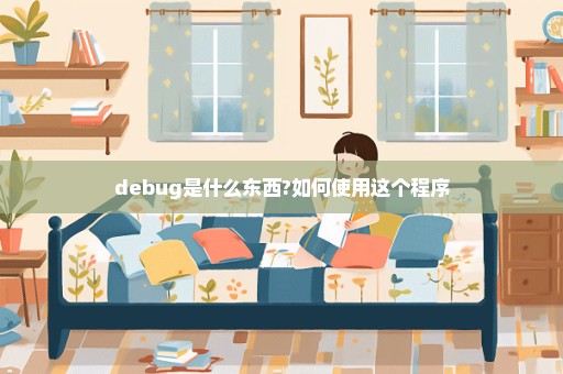 debug是什么东西?如何使用这个程序