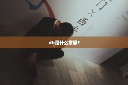 dh是什么意思？