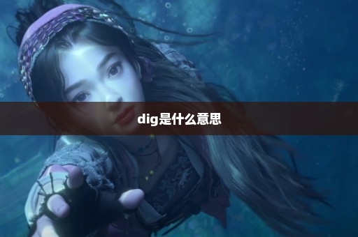 dig是什么意思