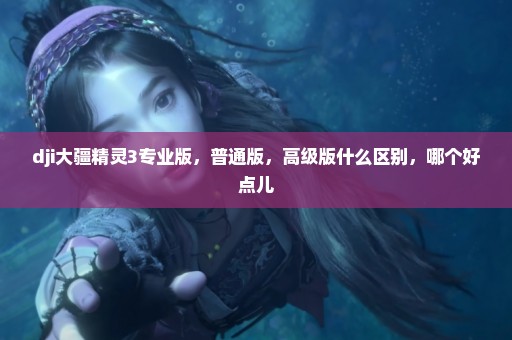 dji大疆精灵3专业版，普通版，高级版什么区别，哪个好点儿