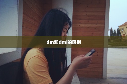 dm和dmi的区别