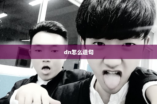 dn怎么造句