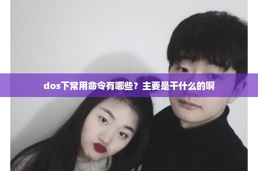 dos下常用命令有哪些？主要是干什么的啊