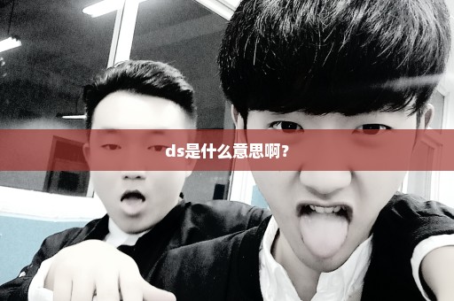 ds是什么意思啊？