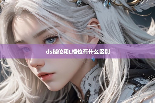 ds档位和L档位有什么区别