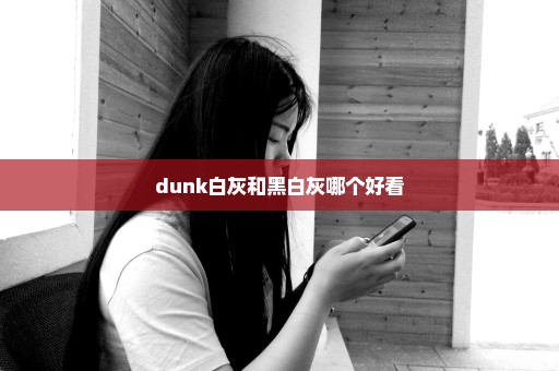 dunk白灰和黑白灰哪个好看