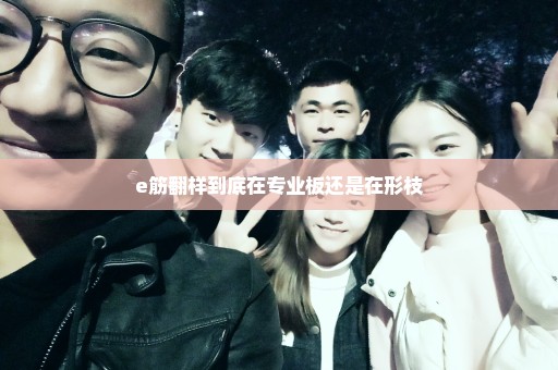 e筋翻样到底在专业板还是在形枝