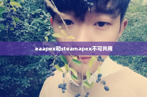 eaapex和steamapex不可共用