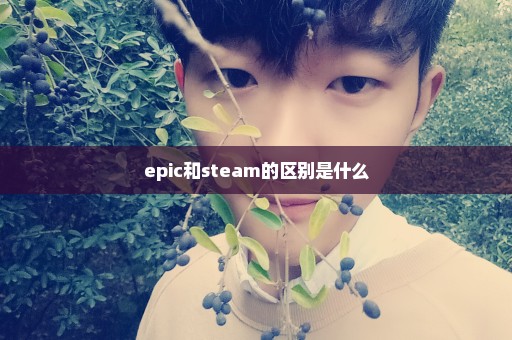 epic和steam的区别是什么