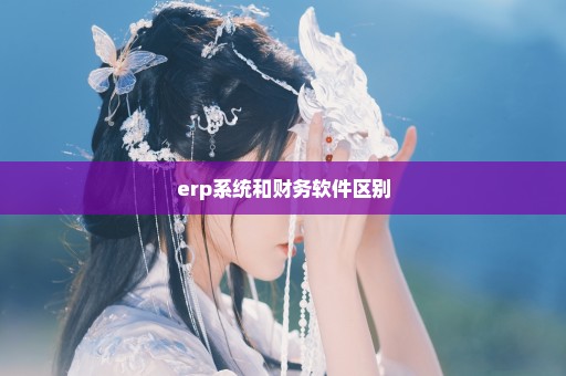 erp系统和财务软件区别