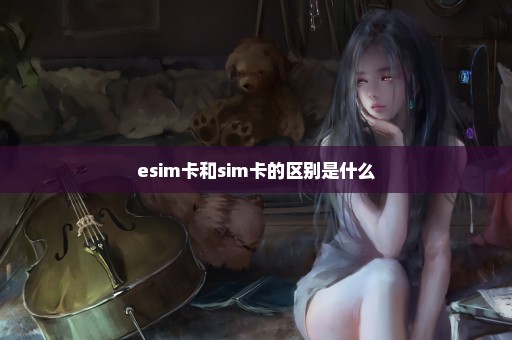 esim卡和sim卡的区别是什么