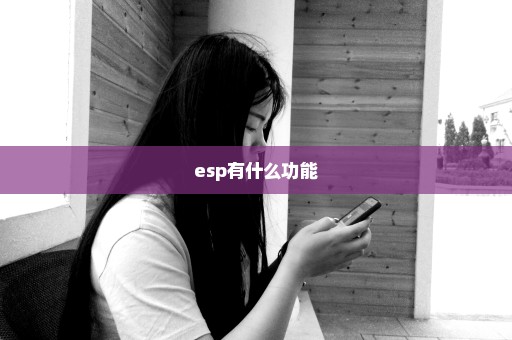esp有什么功能