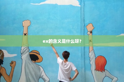 ex的含义是什么呀？